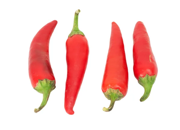 Vier rote Chilischoten isoliert auf weißem Hintergrund — Stockfoto