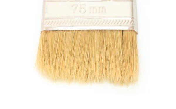 Paint brush isolated on the white background — Stock Photo, Image