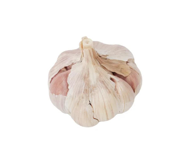Testa dell'aglio su sfondo bianco — Foto Stock