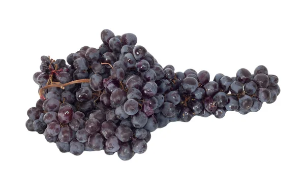 Geïsoleerde zwarte druiven whit reflectie — Stockfoto