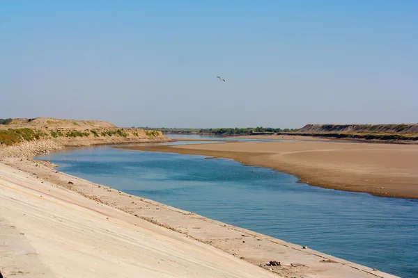 シルダリヤ川、カザフスタンに吹いている川沿い草 — ストック写真