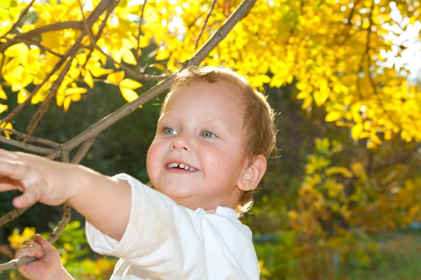 Портрет мальчика осенью — стоковое фото