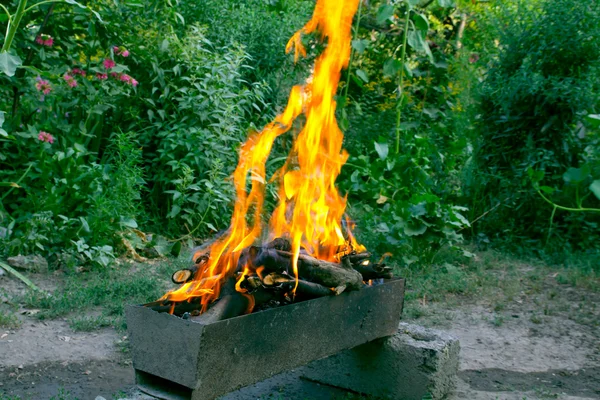 Feuer in einem Kohlenbecken vor dem Hintergrund des grünen Waldes — Stockfoto