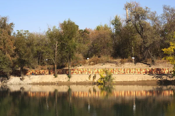 Foglie d'autunno sul lago — Foto Stock