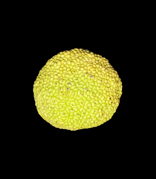 Citrus zöld, a fekete háttér — Stock Fotó