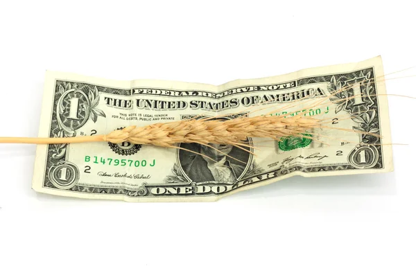 Доллар и пшеница — стоковое фото