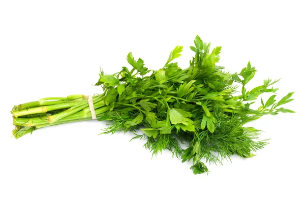 Dill and parsley isolated on a white background Stock Picture