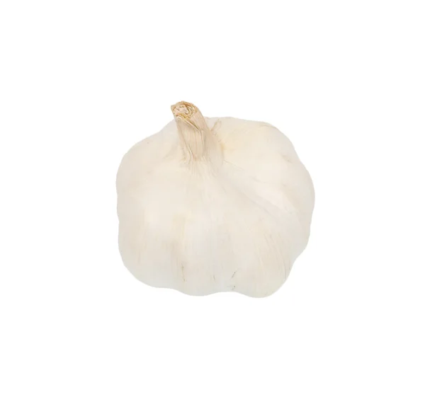 Σκόρδο απομονωμένο σε λευκό φόντο. — Φωτογραφία Αρχείου