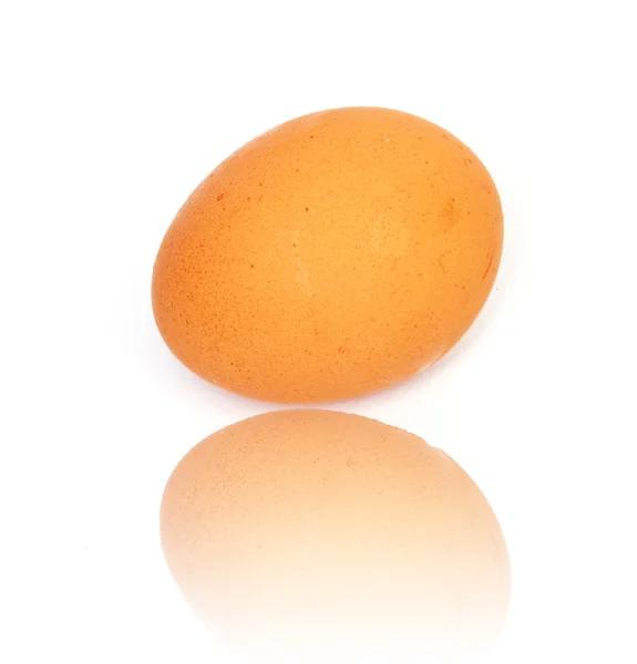Jedno vejce na bílém pozadí — Stock fotografie