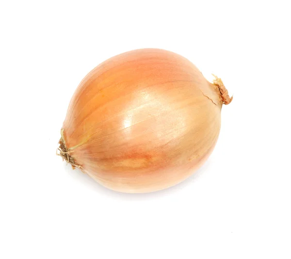 Single yellow onion isolated on white background — Stock Photo, Image