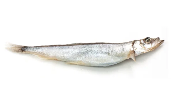 Cierre una sardina en blanco con una pequeña sombra en la ba — Foto de Stock