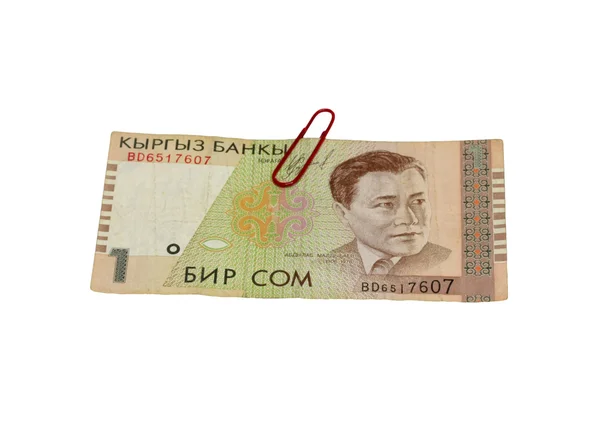 Один Сом законопроект Киргизії, коричневий візерунком — стокове фото