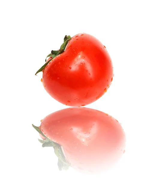 Świeże pomidory z cieniem wyizolowanym na białym — Zdjęcie stockowe