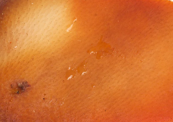 Sfondo pelle di maiale affumicata — Foto Stock