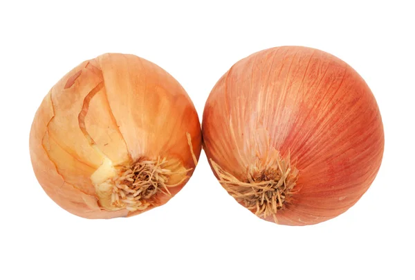 Orange onion vegetable closeup on white background — Stock Photo, Image