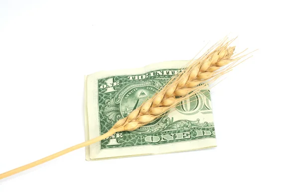 Dollar et blé — Photo