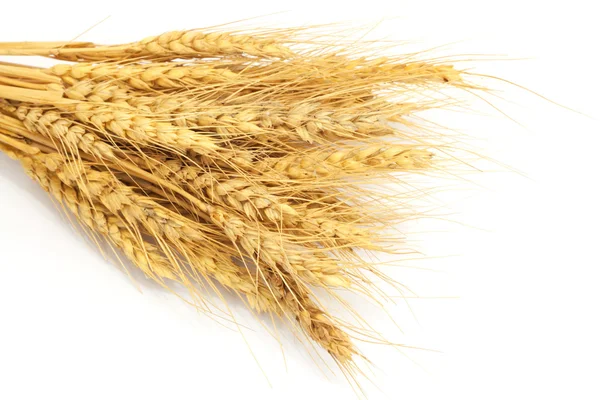 Paquete de trigo aislado en blanco —  Fotos de Stock