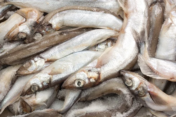 Рыба во льду на рынке — стоковое фото