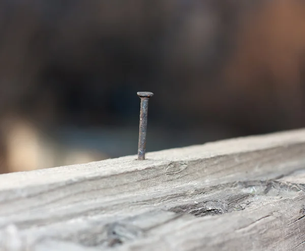 Oude nagel genageld in hout — Stockfoto