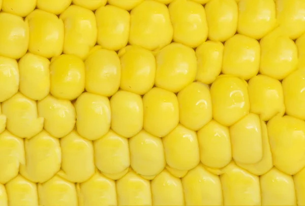 Corn . macro — Stock Photo, Image