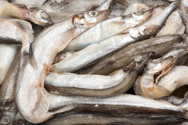 Pescado en hielo en el mercado —  Fotos de Stock