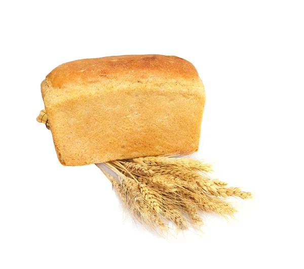 Chléb a pšenice na bílém pozadí — Stock fotografie