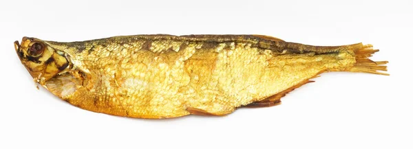 Räucherfisch isoliert auf weiß — Stockfoto
