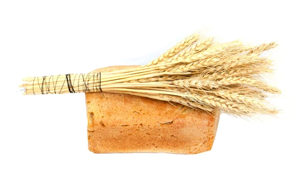 Pan y trigo sobre un fondo blanco —  Fotos de Stock