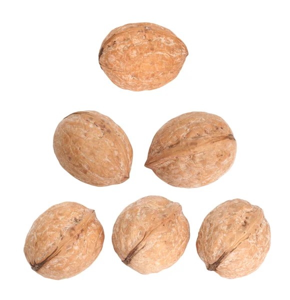 3 nötter isolerad på vit — Stockfoto