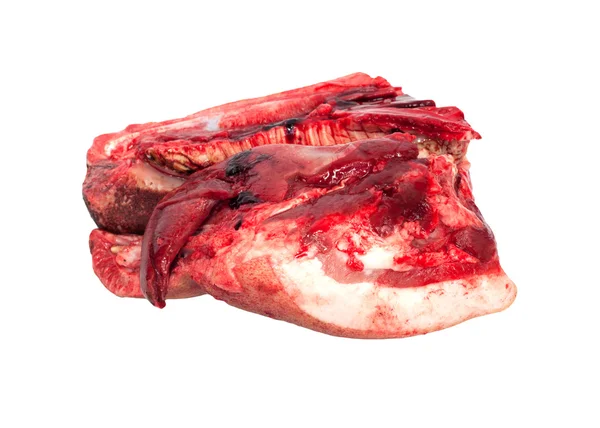 Pig's head chopped off — Stock Photo, Image