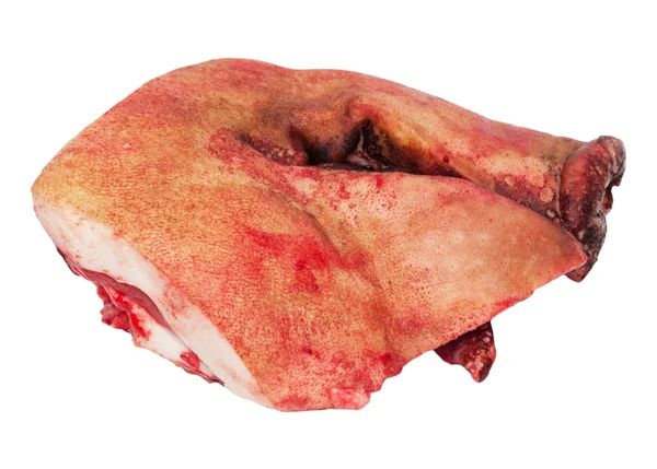 Cabeza de cerdo cortada — Foto de Stock