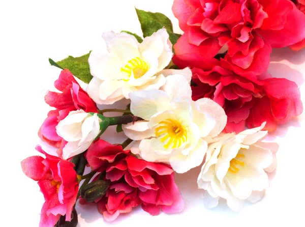 Körsbärsblommor blomma isolerad på vit. — Stockfoto