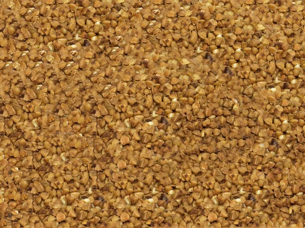 Sfondo grano saraceno — Foto Stock