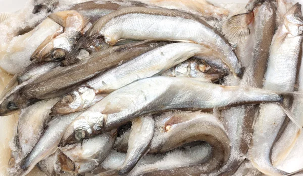 시장에서 얼음 물고기 — 스톡 사진