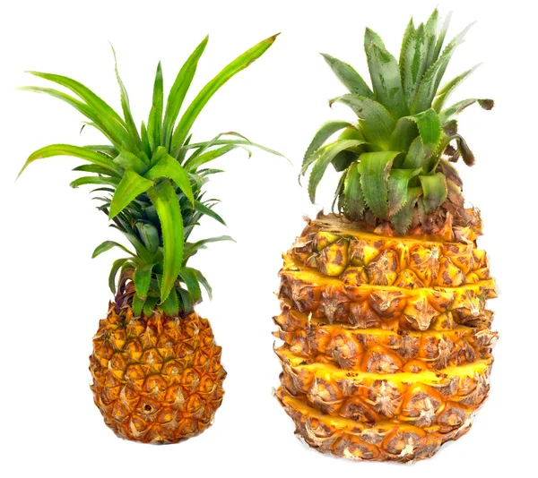 Dojrzały ananas wyizolowany na białym — Zdjęcie stockowe