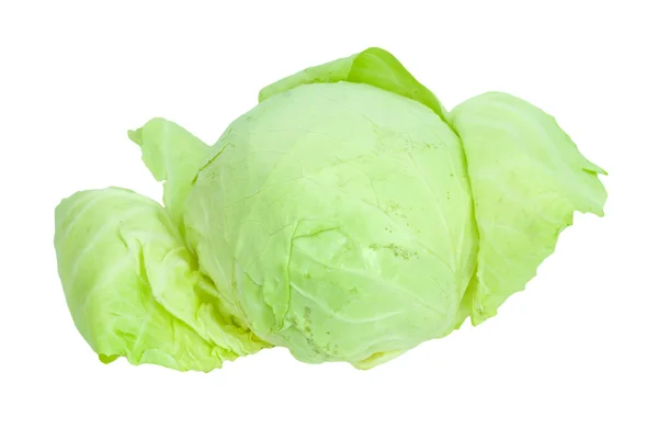 被白色背景隔离的绿色卷心菜. 免版税图库图片