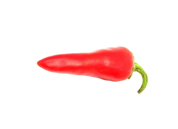 Red chilly — Stock Photo, Image