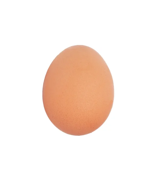 Одно яйцо на белом фоне — стоковое фото