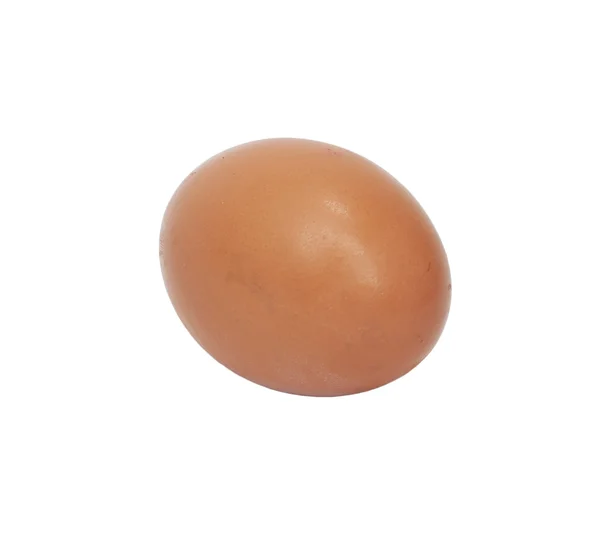 白い背景の上の 1 つの卵 — ストック写真