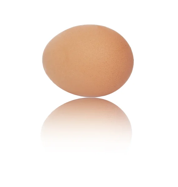 白い背景の上の 1 つの卵 — ストック写真