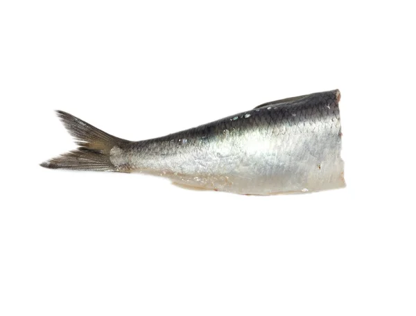 Tail salty herring on white background — Stock Photo, Image
