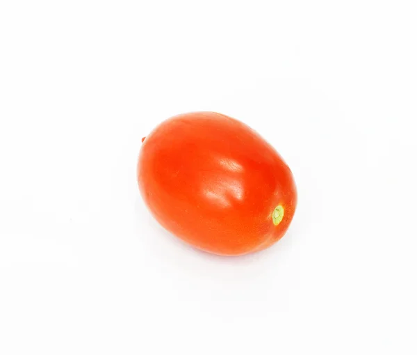 Eine Tomate — Stockfoto