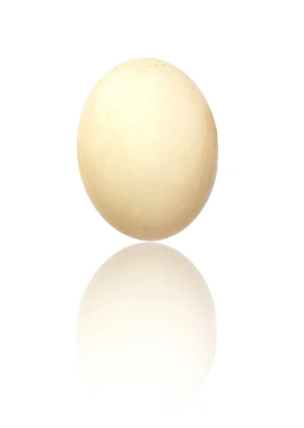 Αυγό του μια πάπια — Φωτογραφία Αρχείου