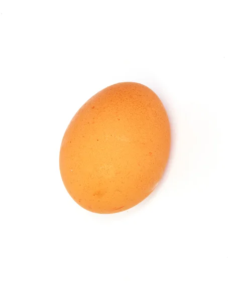 One egg on white background — Stock Photo, Image