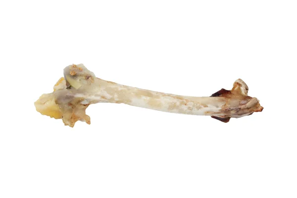 Bones of the hen — Stock Photo, Image