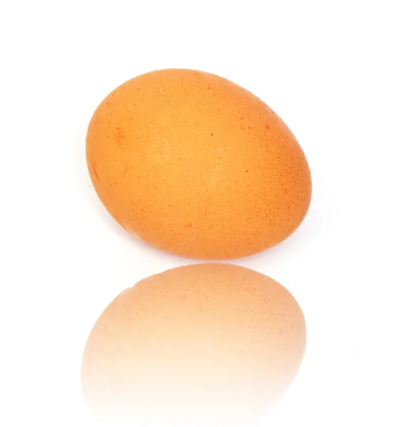 Одно яйцо на белом фоне — стоковое фото