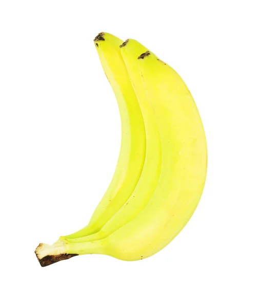 Banane albero isolato su bianco — Foto Stock