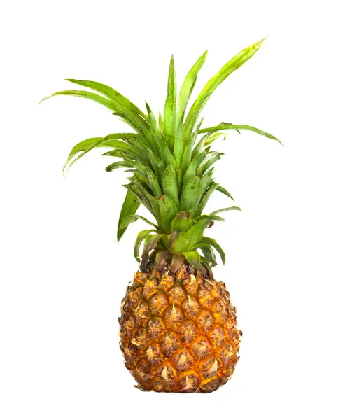Ananas maturo isolato su bianco — Foto Stock