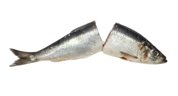 stock image Salted herring on white background