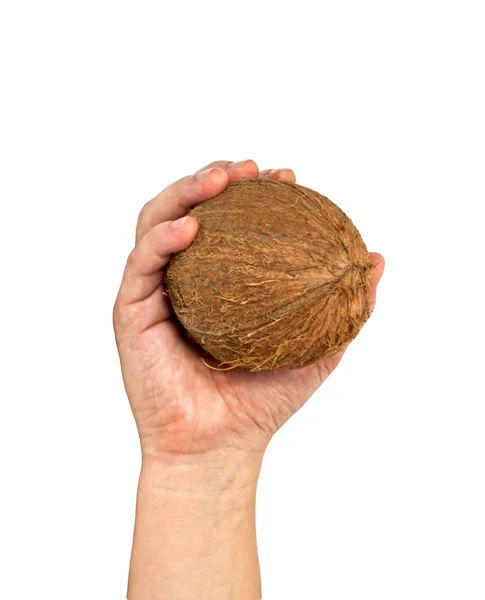 Detail kokosová v ruce izolovaných na bílém pozadí. — Stock fotografie